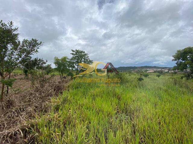 #376 - Terreno para Venda em São João del Rei - MG - 3