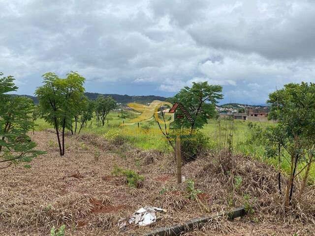 Terreno para Venda em São João del Rei - 4