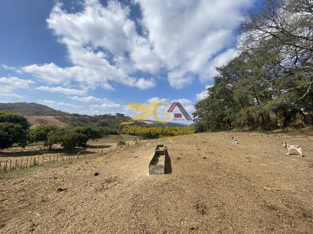 #710 - Fazenda para Venda em Coronel Xavier Chaves - MG - 3