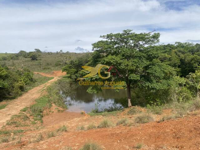 #733 - Chácara para Venda em Conceição da Barra de Minas - MG - 1