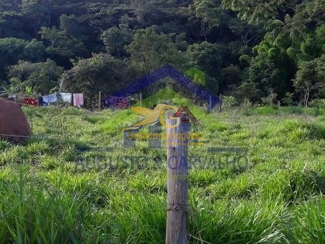 #207 - Área para Venda em Tiradentes - MG - 3