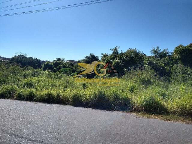 #260 - Área para Venda em São João del Rei - MG - 3