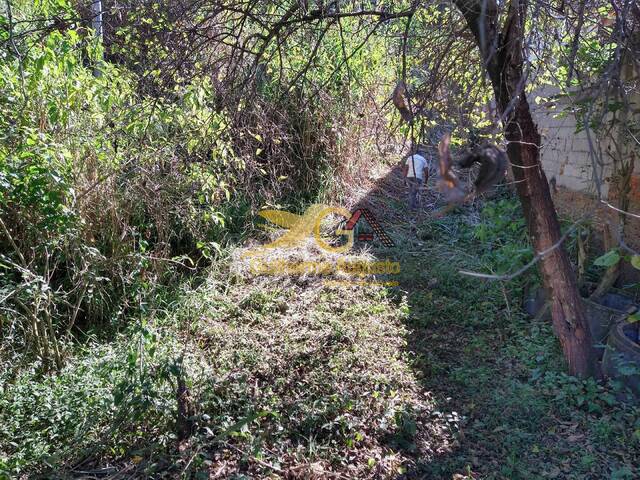 Terreno para Venda em São João del Rei - 4