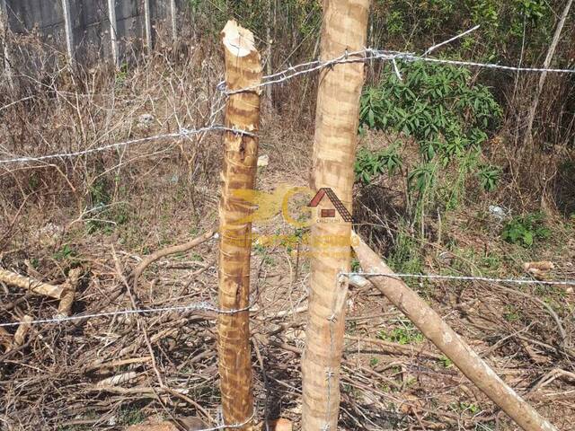 #323 - Terreno para Venda em Prados - MG - 3