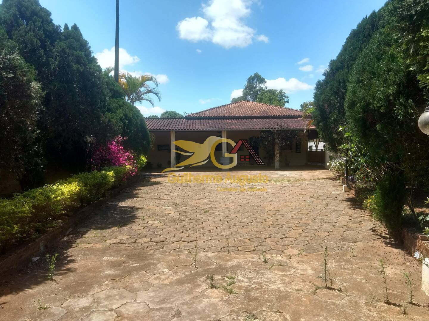 Fazenda à venda com 3 quartos, 8600m² - Foto 1