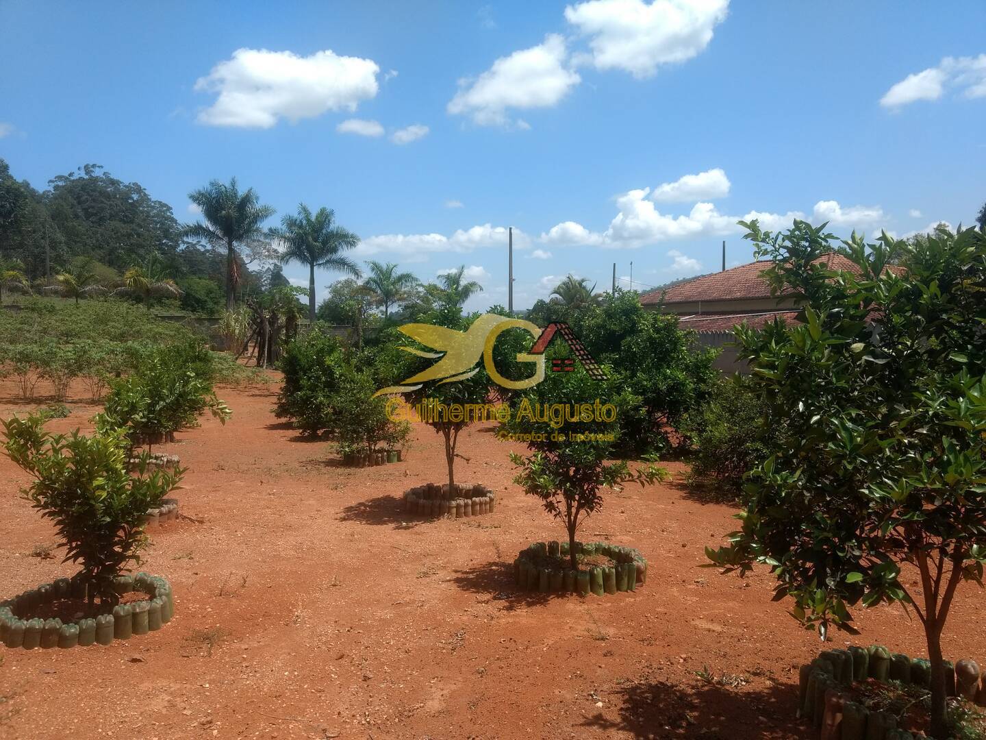 Fazenda à venda com 3 quartos, 8600m² - Foto 55