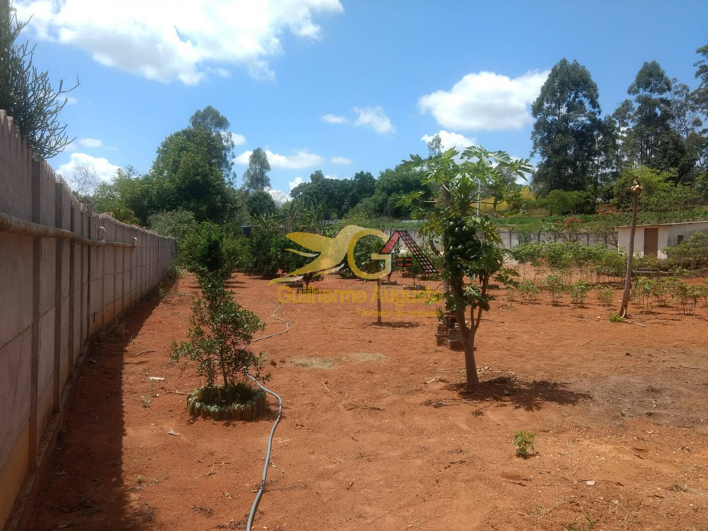 Fazenda à venda com 3 quartos, 8600m² - Foto 66