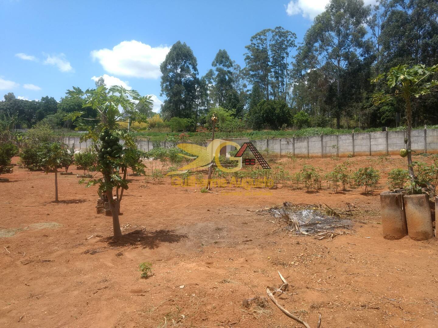 Fazenda à venda com 3 quartos, 8600m² - Foto 67