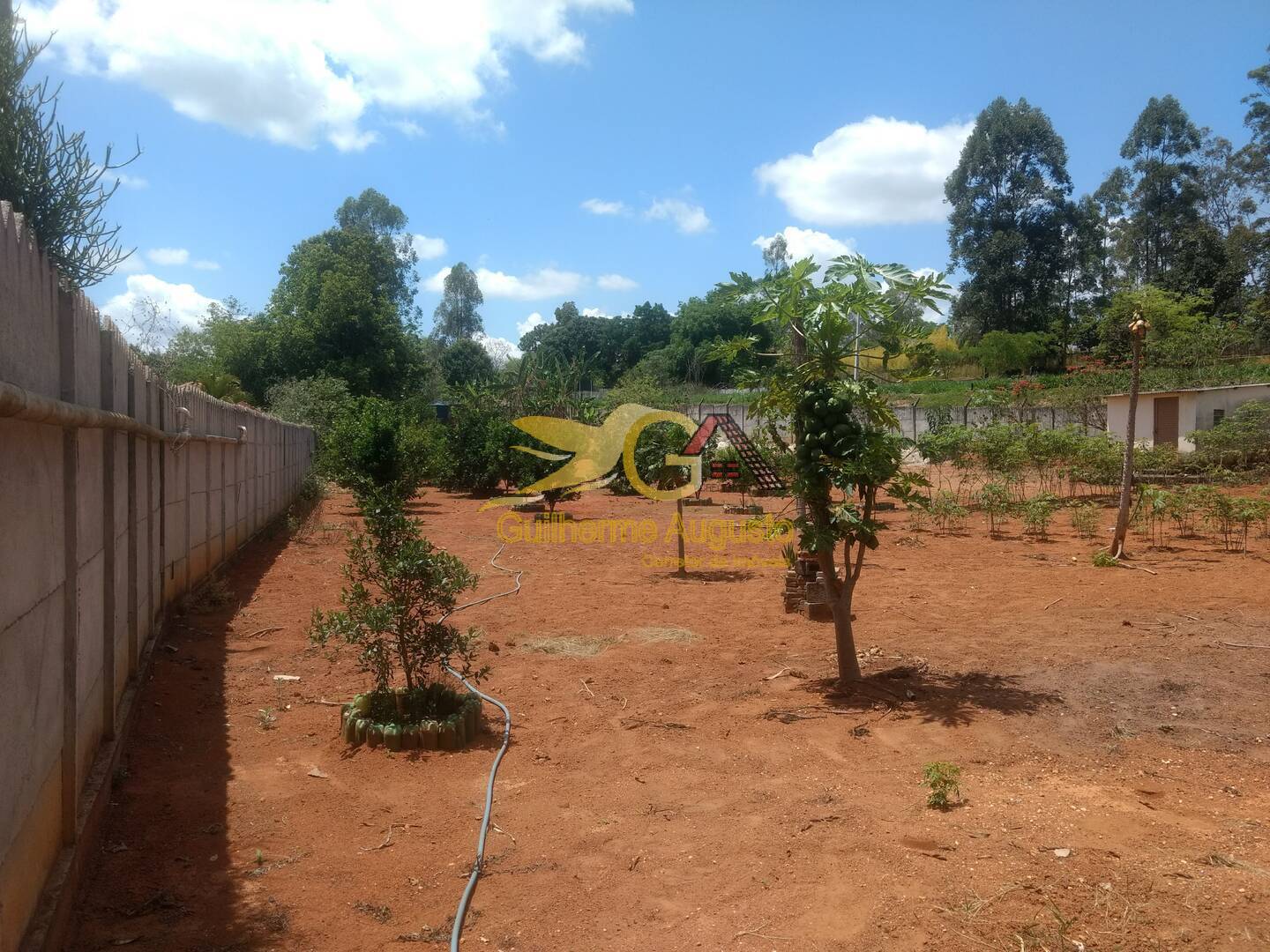 Fazenda à venda com 3 quartos, 8600m² - Foto 68