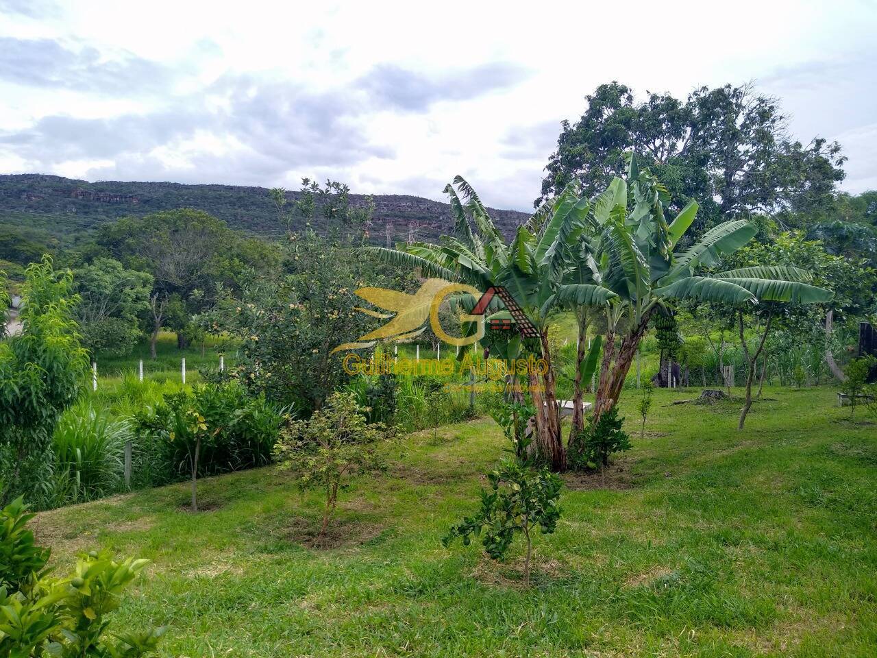 Fazenda à venda com 6 quartos, 300m² - Foto 10