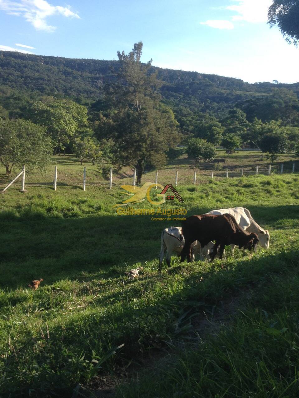 Fazenda à venda com 6 quartos, 300m² - Foto 12