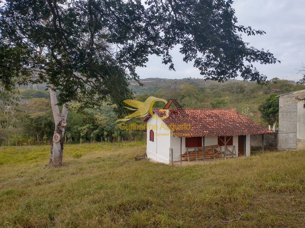 Fazenda à venda com 6 quartos, 300m² - Foto 6