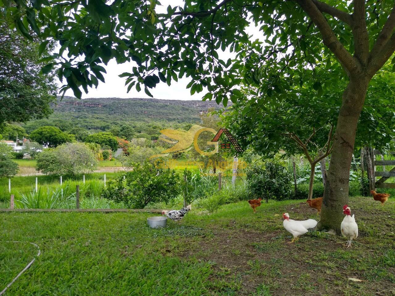 Fazenda à venda com 6 quartos, 300m² - Foto 15