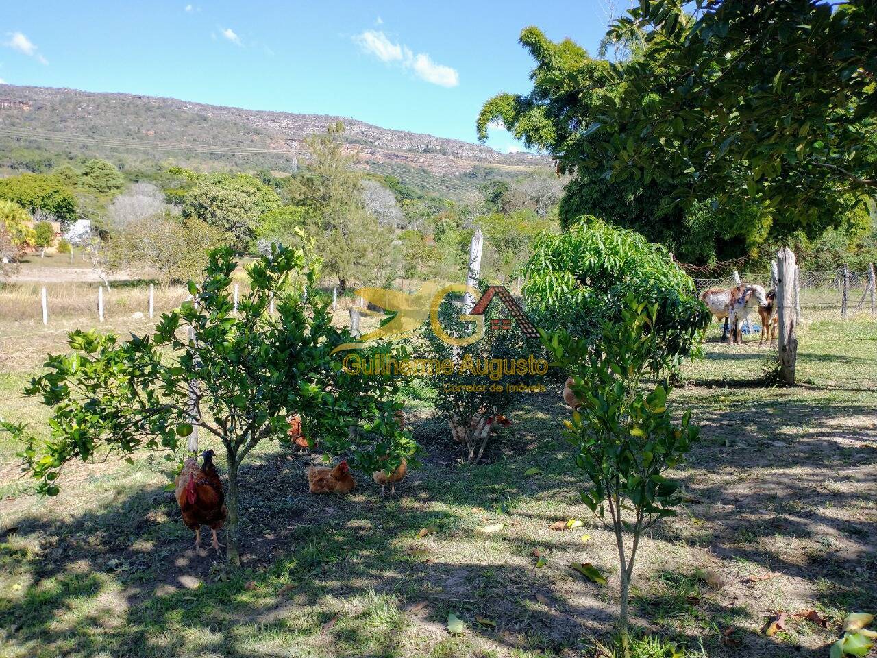 Fazenda à venda com 6 quartos, 300m² - Foto 20