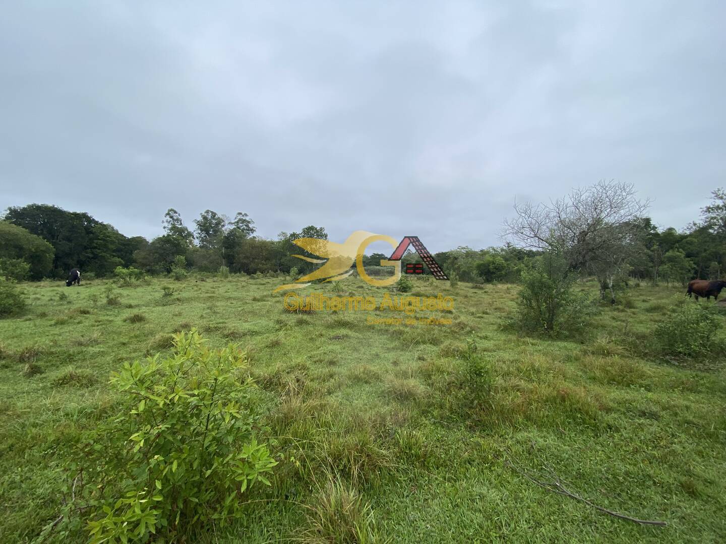 Terreno à venda, 2m² - Foto 2