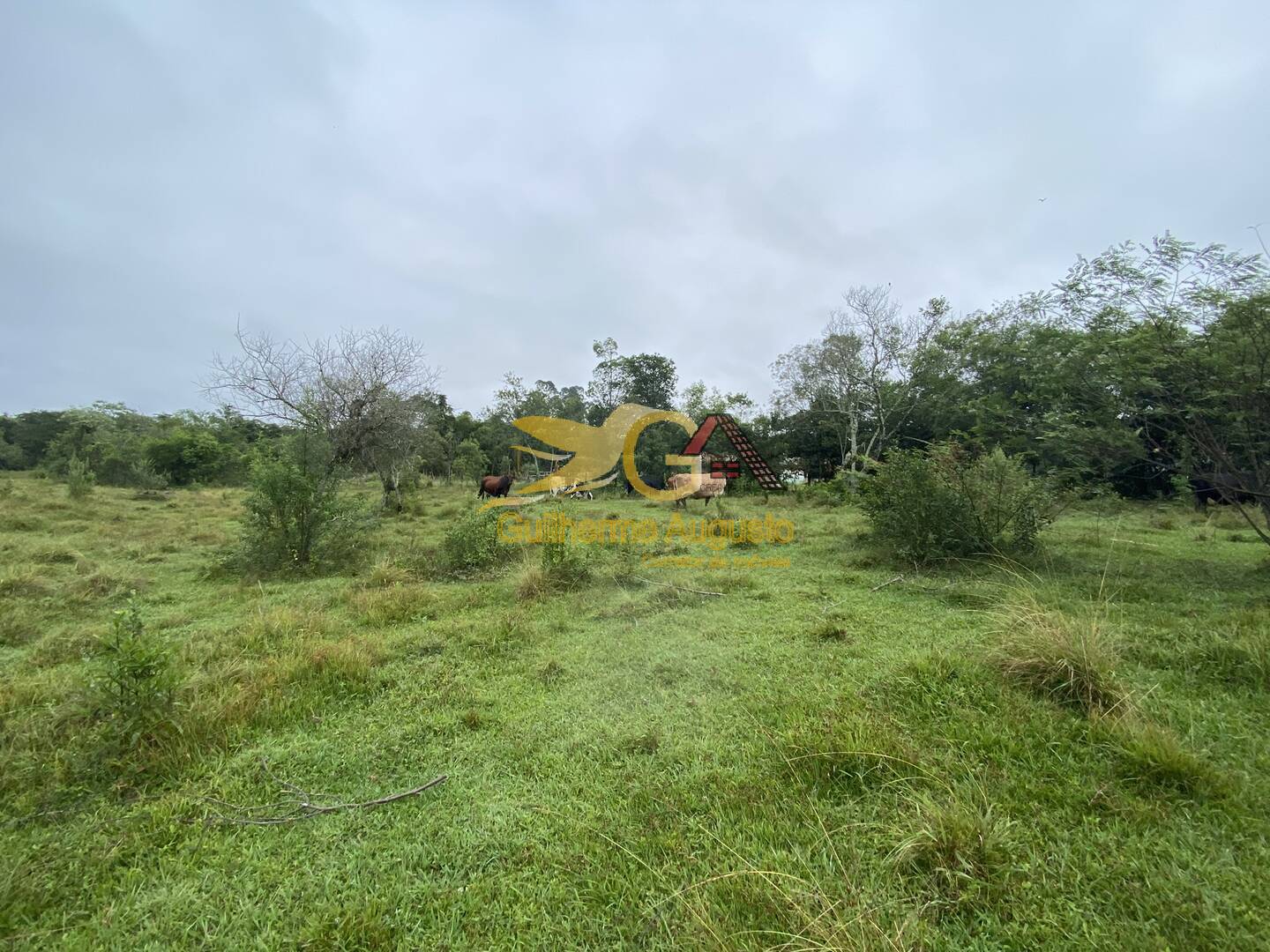 Terreno à venda, 2m² - Foto 3