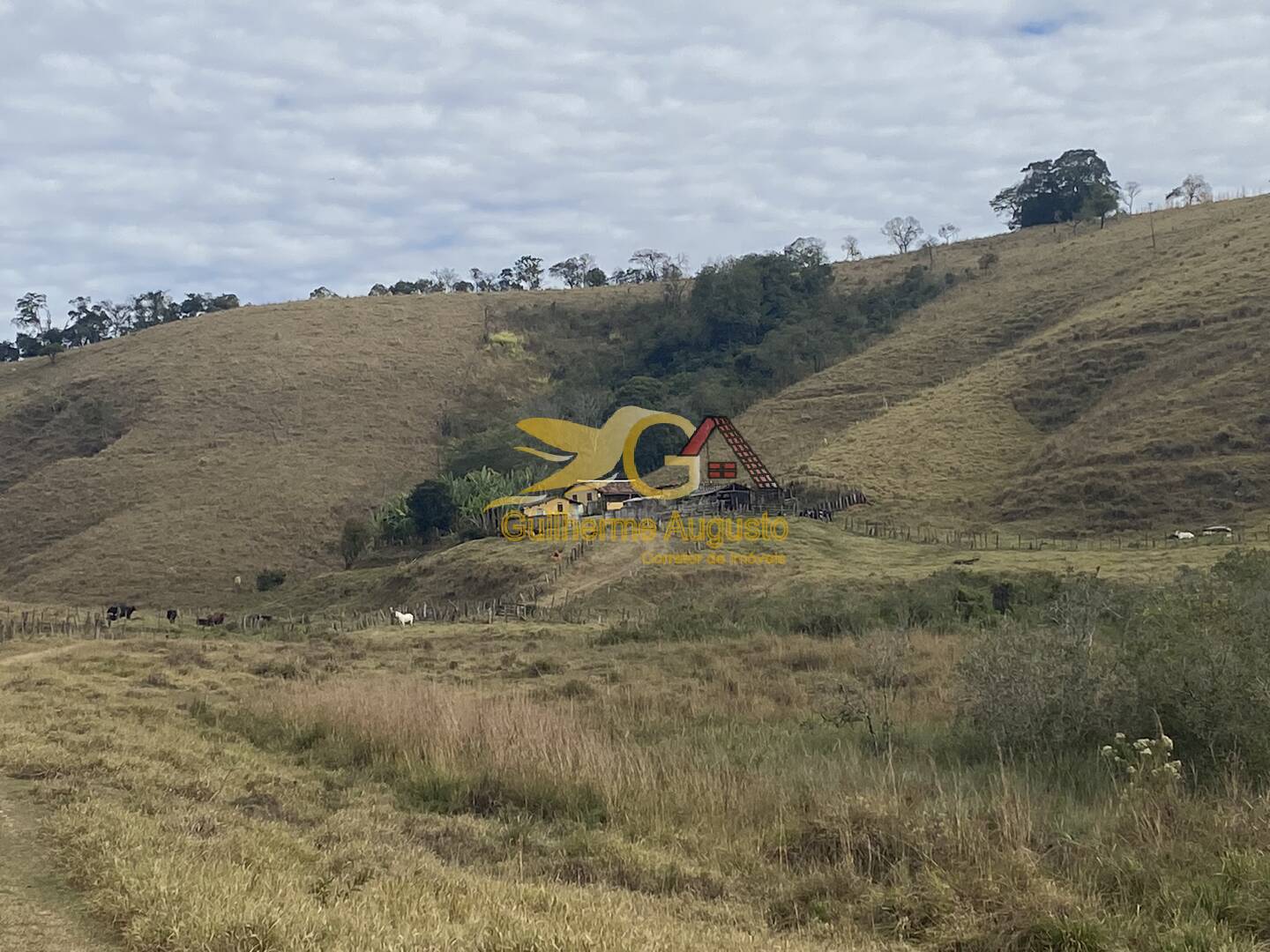 Fazenda à venda com 3 quartos, 9691m² - Foto 14