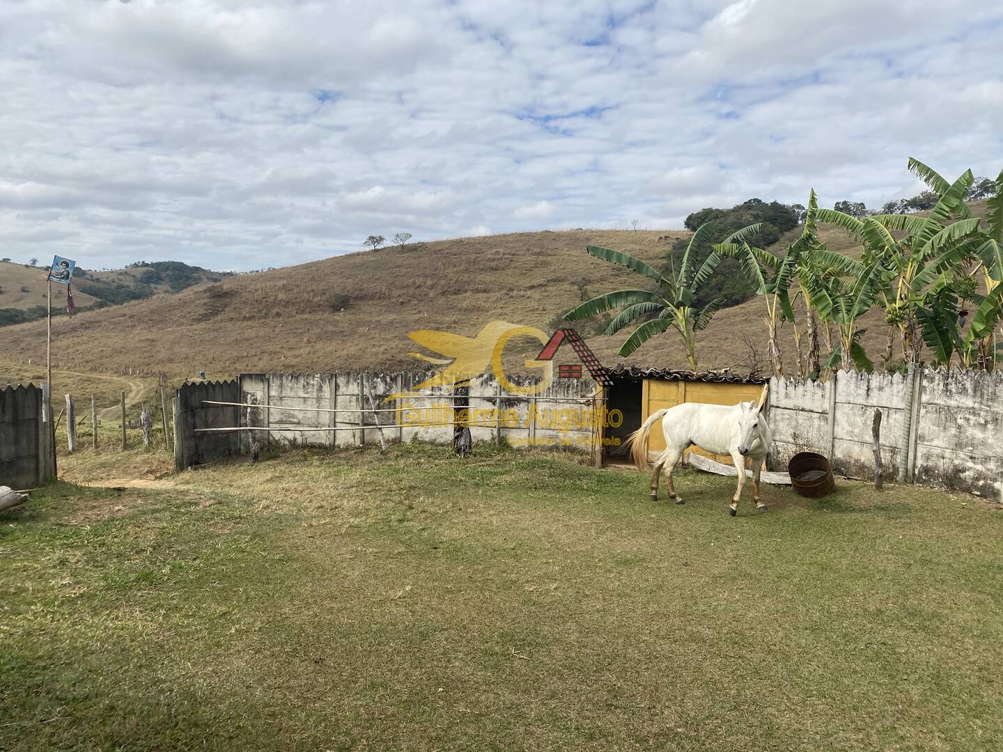 Fazenda à venda com 3 quartos, 9691m² - Foto 17