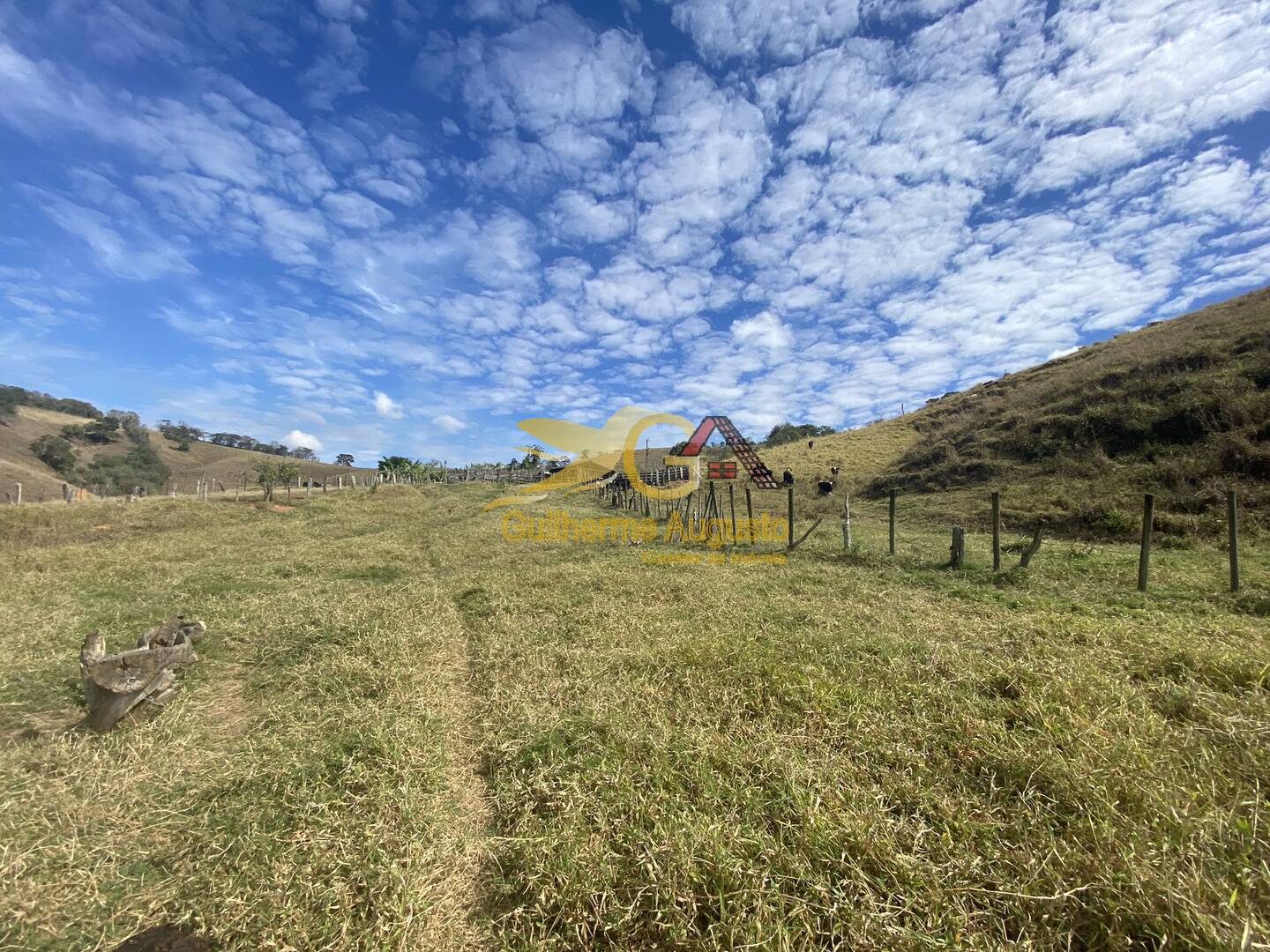 Fazenda à venda com 3 quartos, 9691m² - Foto 23