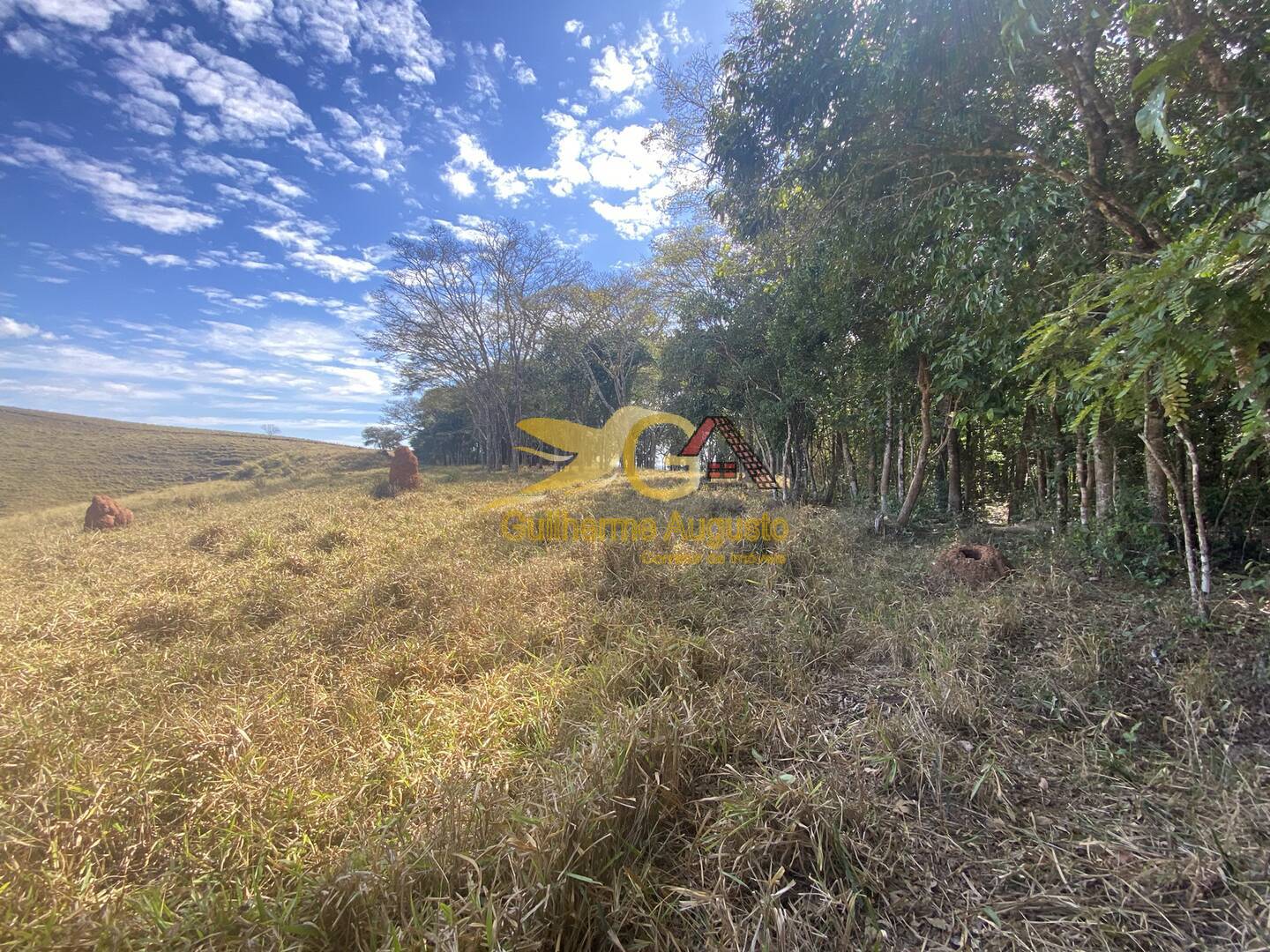 Fazenda à venda com 3 quartos, 9691m² - Foto 35