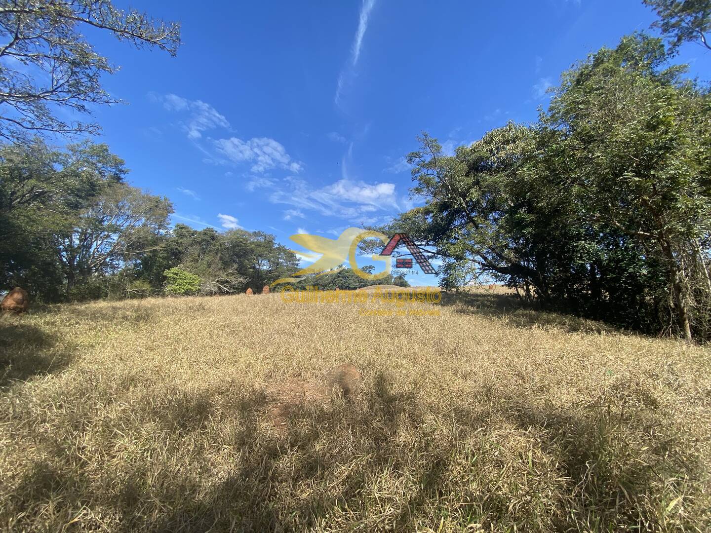 Fazenda à venda com 3 quartos, 9691m² - Foto 38