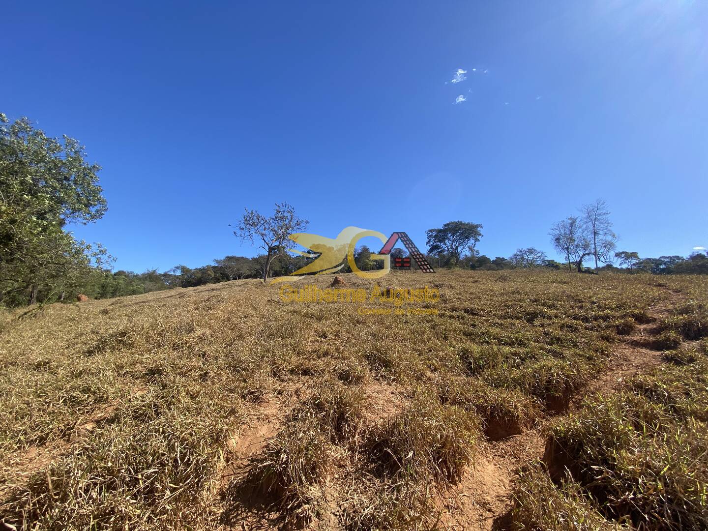 Fazenda à venda com 4 quartos, 14m² - Foto 5