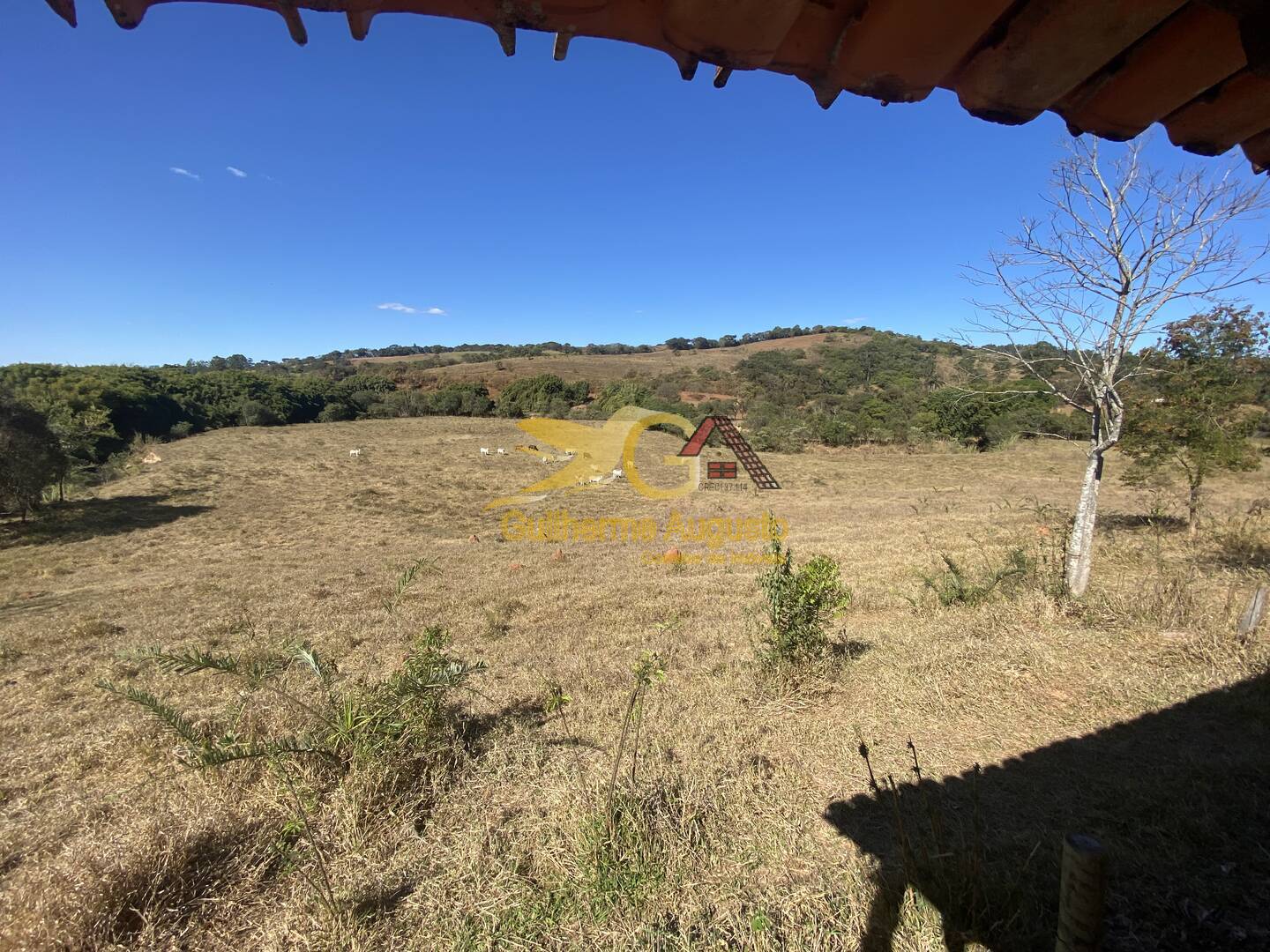 Fazenda à venda com 4 quartos, 14m² - Foto 1