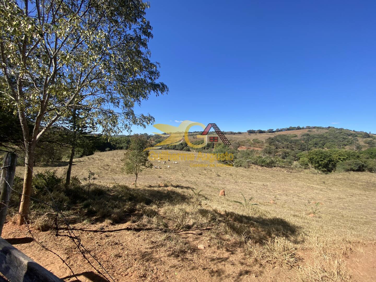 Fazenda à venda com 4 quartos, 14m² - Foto 11