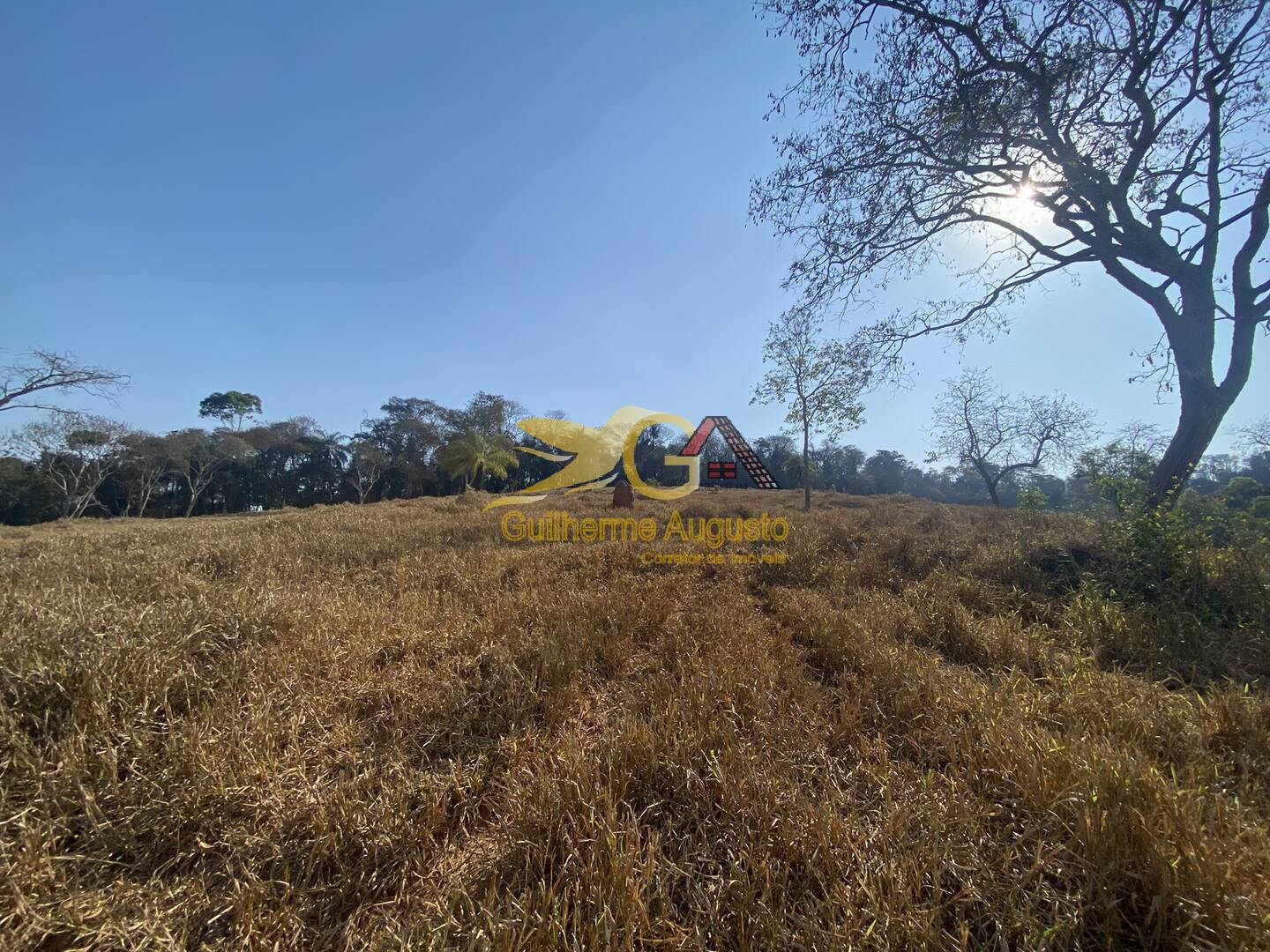 Fazenda à venda com 4 quartos, 14m² - Foto 12