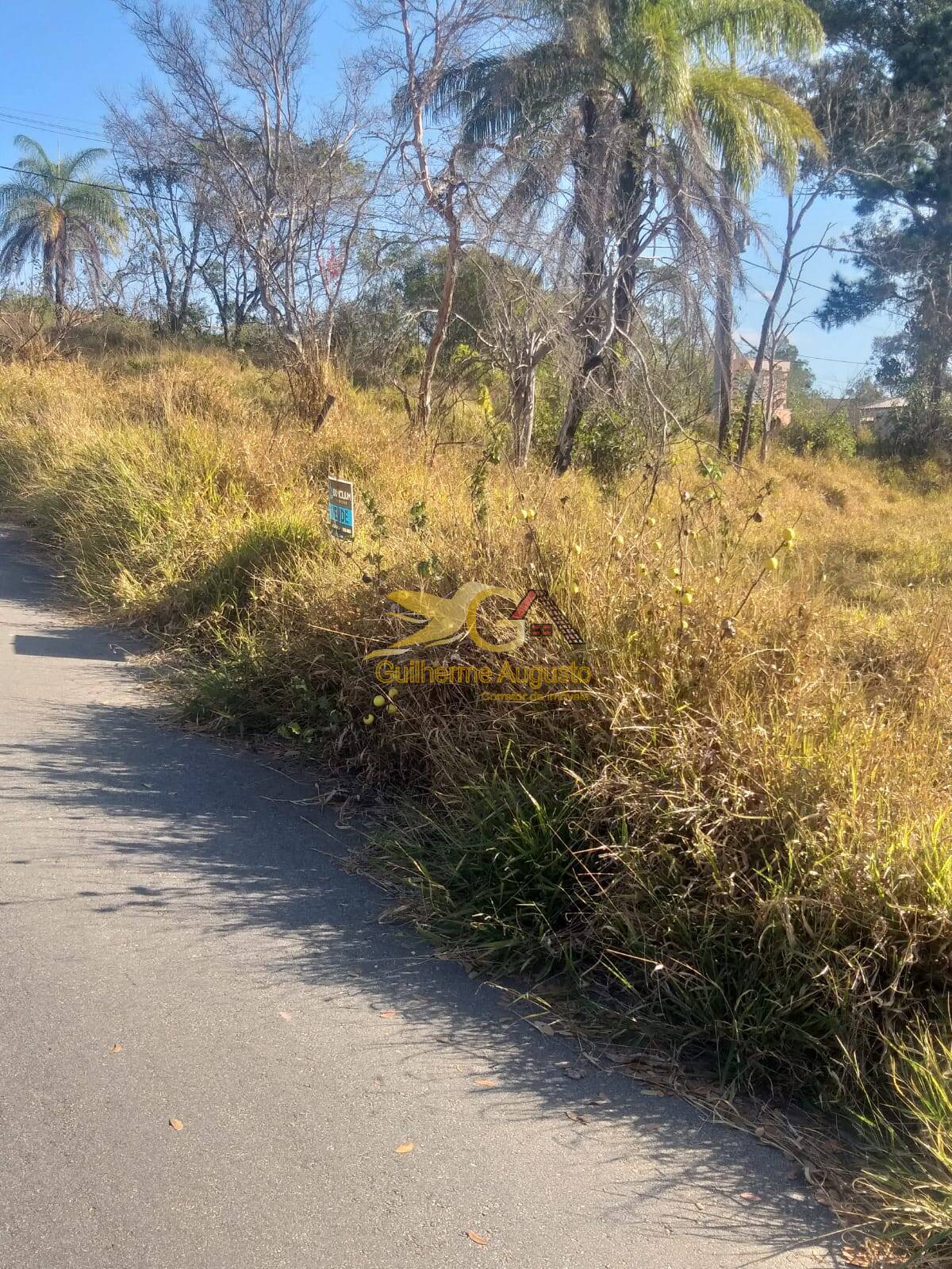 Terreno à venda, 250m² - Foto 3