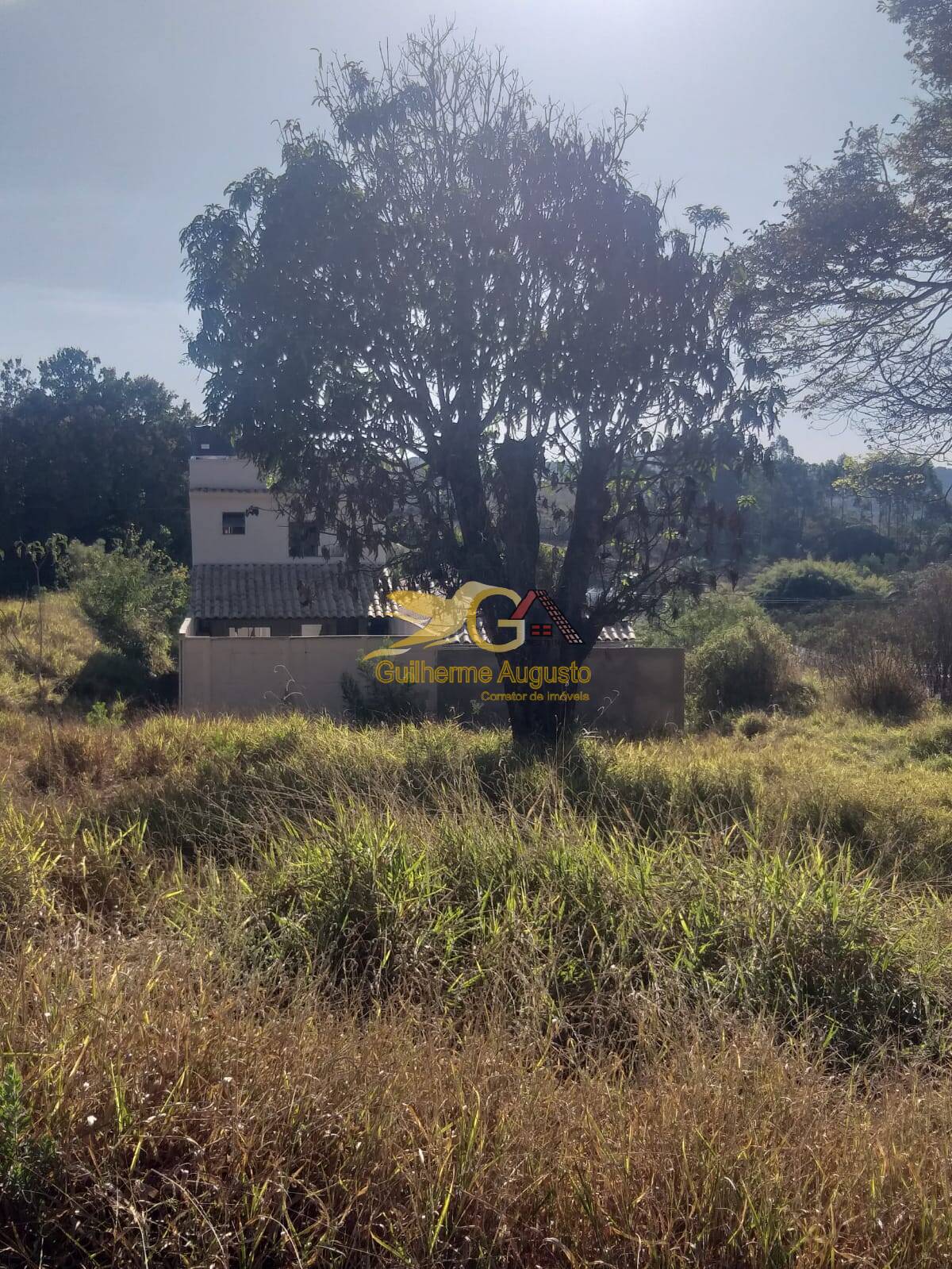 Terreno à venda, 250m² - Foto 5